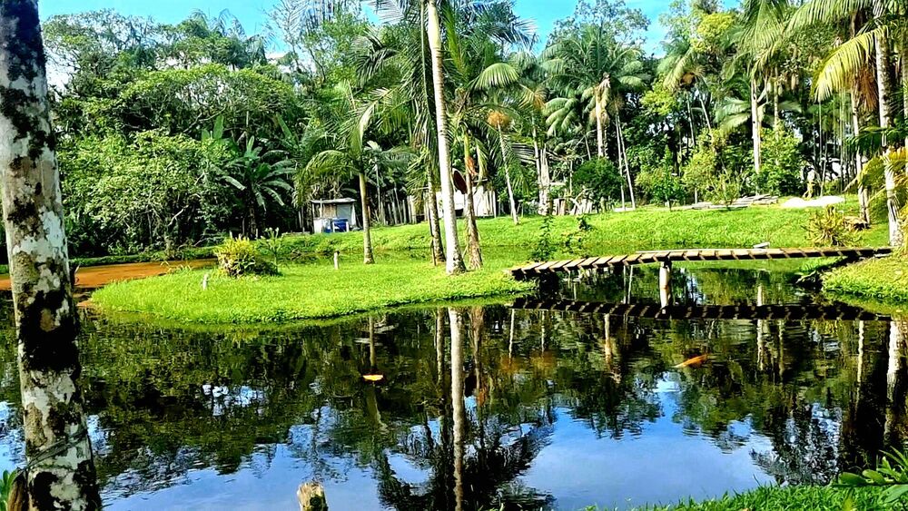 Chácara à venda com 3 quartos, 16000m² - Foto 10