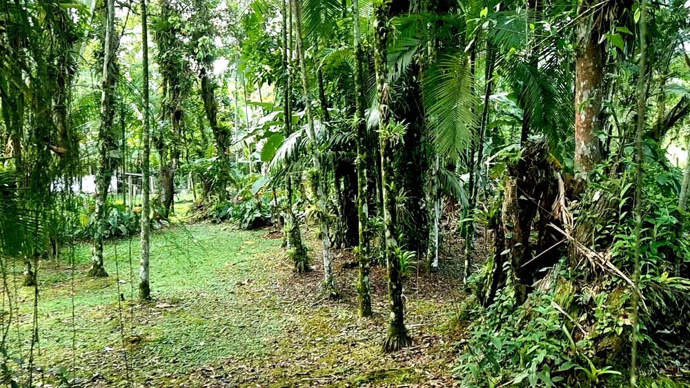Chácara à venda com 3 quartos, 16000m² - Foto 21