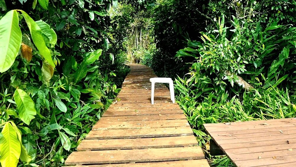 Chácara à venda com 3 quartos, 16000m² - Foto 12
