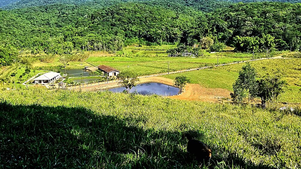 Sítio à venda com 4 quartos, 135000m² - Foto 1