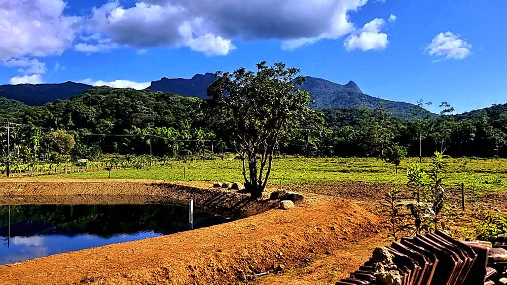 Sítio, 4 quartos, 14 hectares - Foto 19