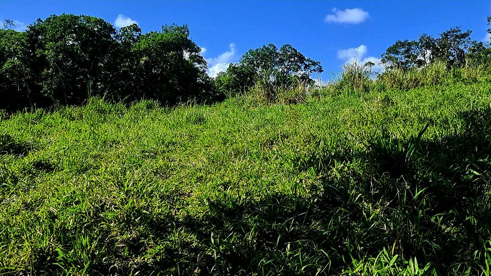 Sítio, 4 quartos, 14 hectares - Foto 6