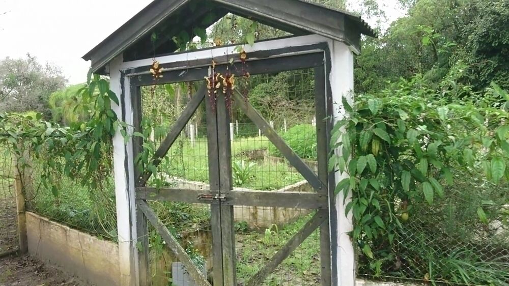 Casa, 4 quartos, 40000 m² - Foto 9