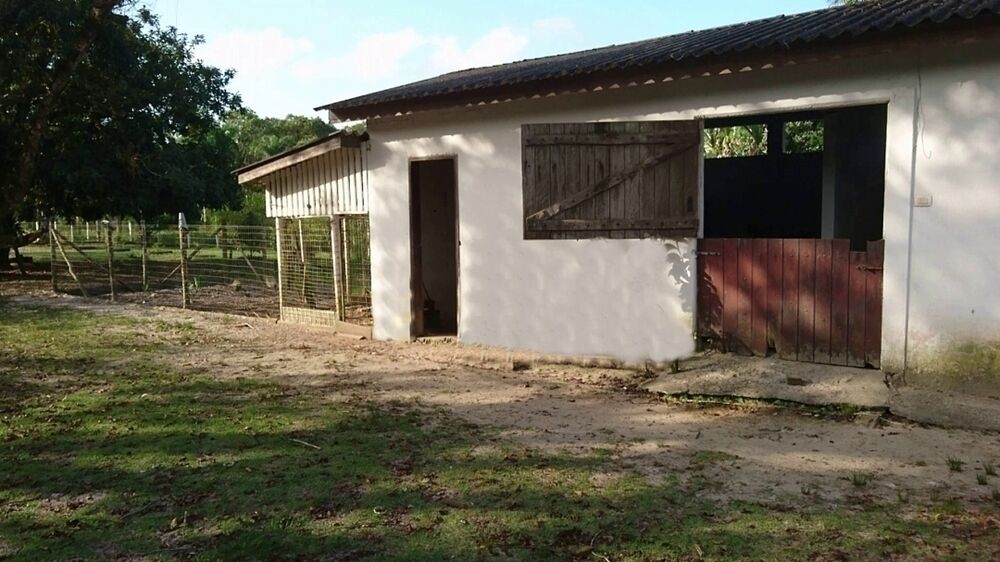 Casa, 4 quartos, 40000 m² - Foto 13