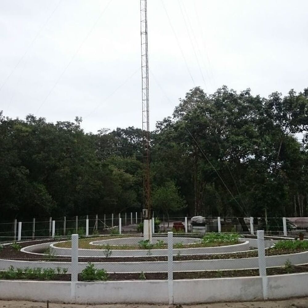 Casa, 4 quartos, 40000 m² - Foto 3