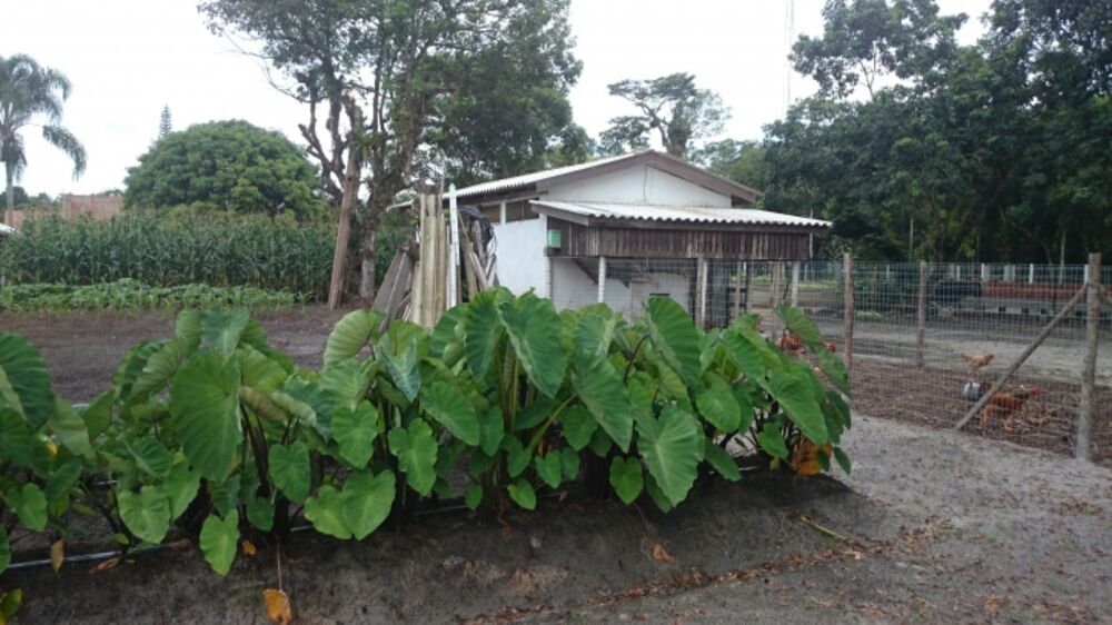 Casa, 4 quartos, 40000 m² - Foto 5