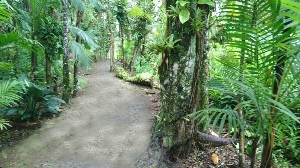 Casa, 4 quartos, 40000 m² - Foto 1