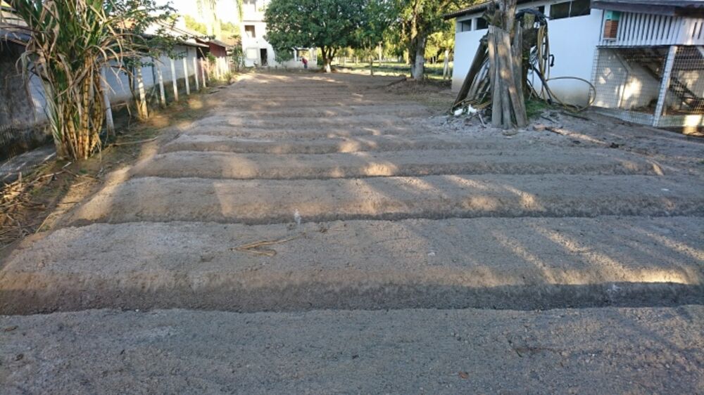 Casa, 4 quartos, 40000 m² - Foto 18