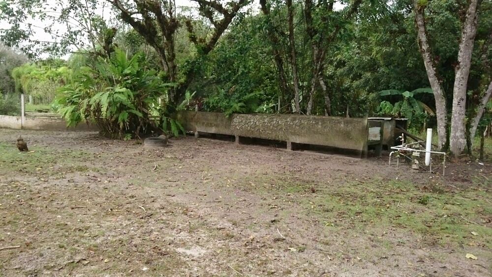 Casa, 4 quartos, 40000 m² - Foto 4