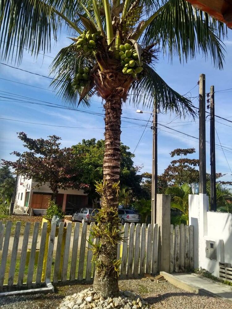 Casa, 4 quartos, 600 m² - Foto 19