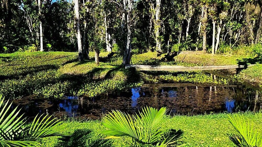 Casa, 3 quartos, 2500 m² - Foto 19