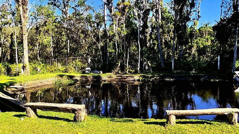 Casa, 3 quartos, 2500 m² - Foto 20