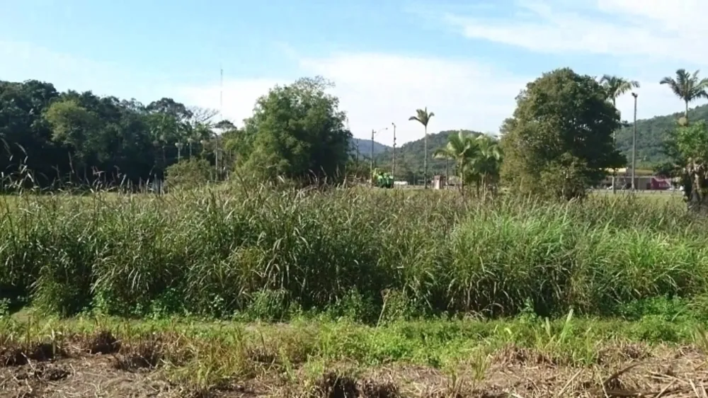 Terreno, 8 hectares - Foto 2