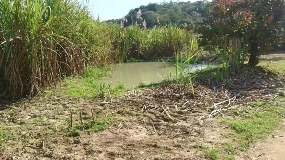 Terreno, 8 hectares - Foto 12