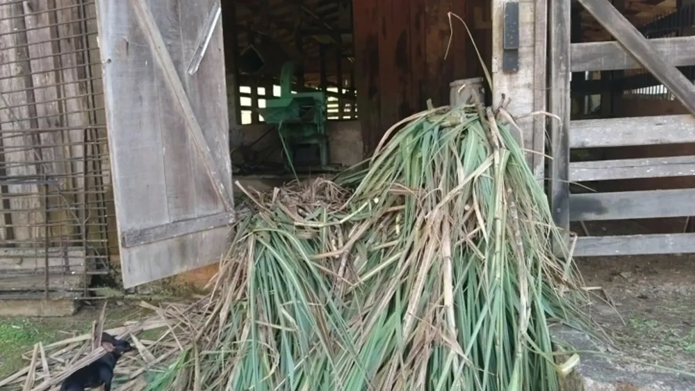 Terreno, 8 hectares - Foto 6
