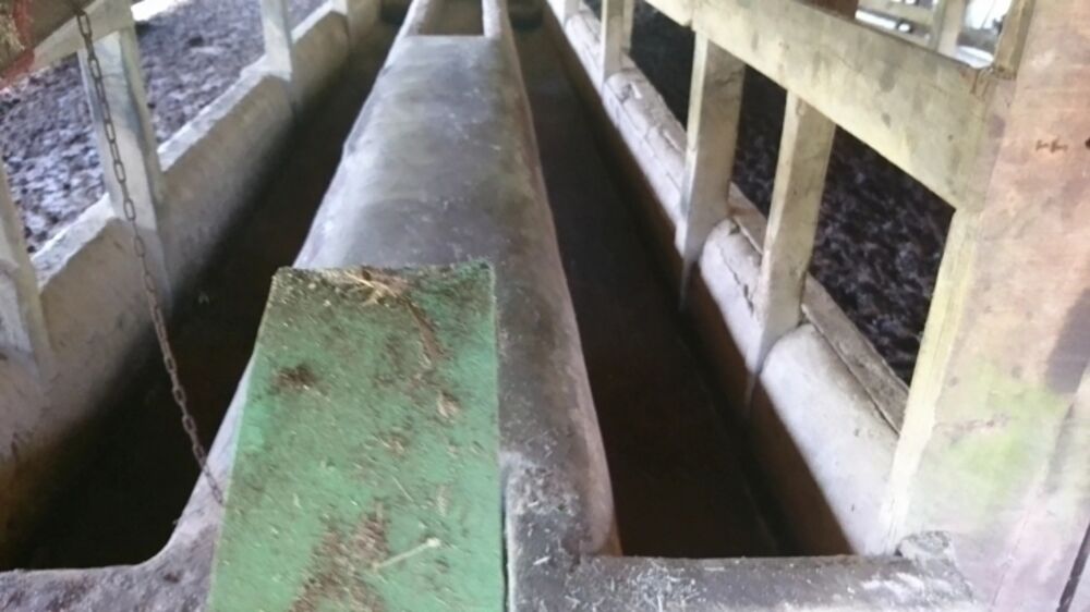 Terreno, 8 hectares - Foto 3