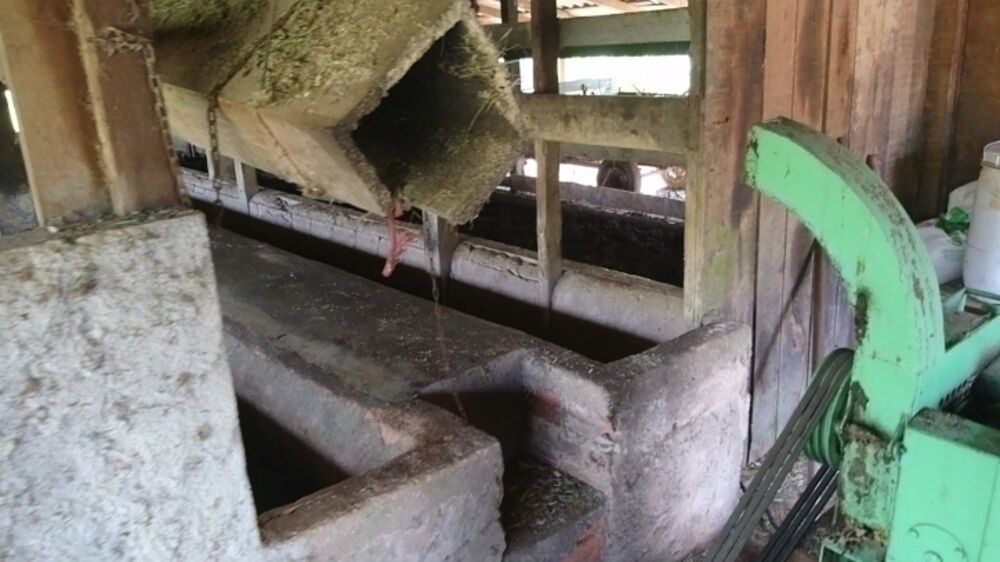 Terreno, 8 hectares - Foto 2