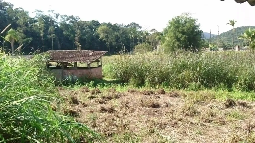 Terreno, 8 hectares - Foto 1