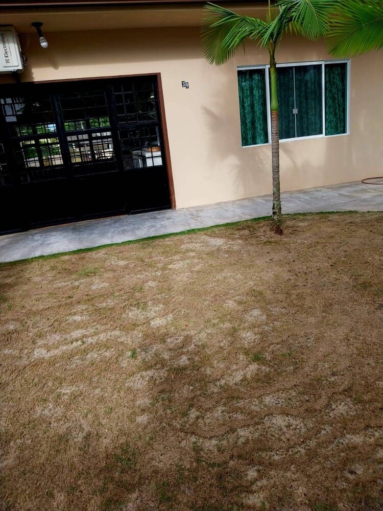 Casa, 3 quartos, 372 m² - Foto 15