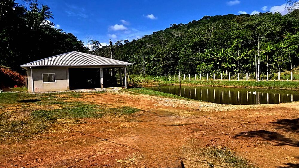 Sítio à venda com 6 quartos, 160000m² - Foto 12