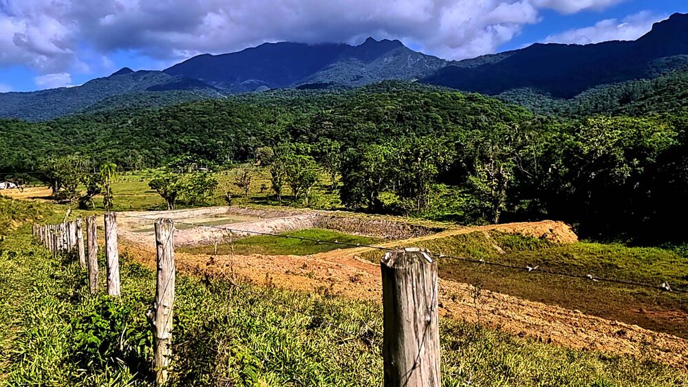 Sítio à venda com 6 quartos, 160000m² - Foto 16