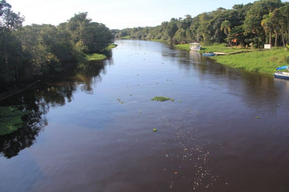 Prédio Inteiro, 40000 m² - Foto 5