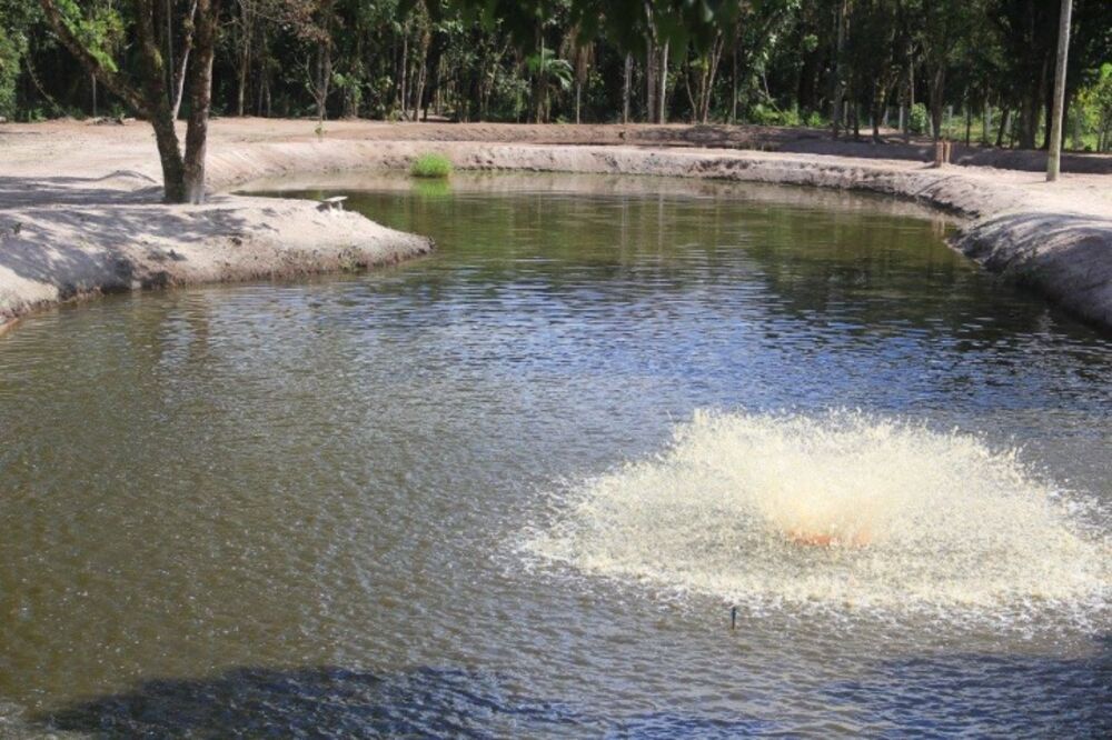 Prédio Inteiro, 40000 m² - Foto 2