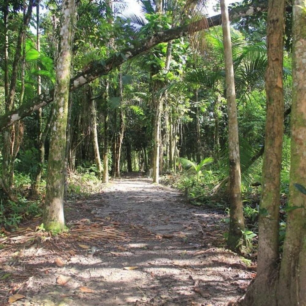 Prédio Inteiro, 40000 m² - Foto 10