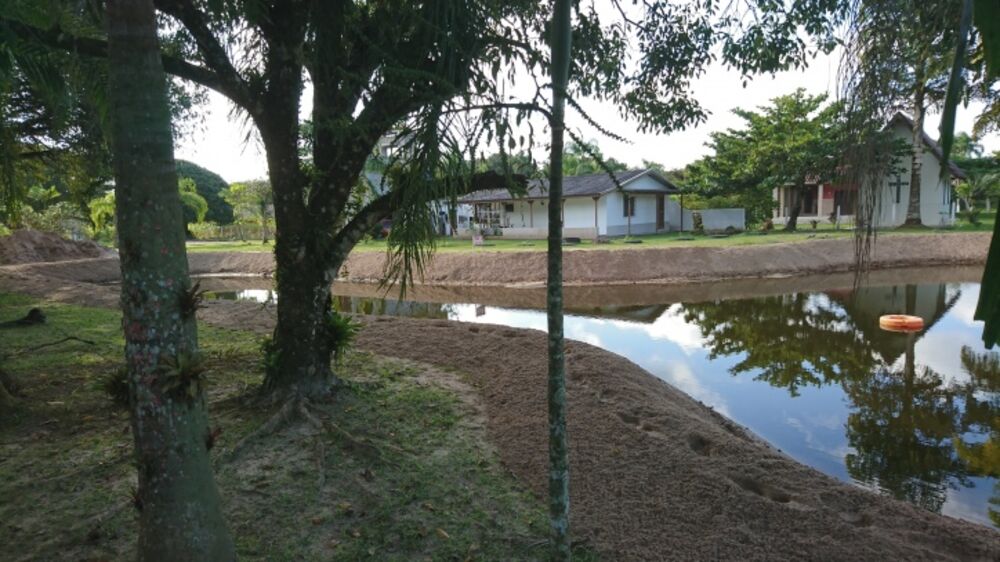 Prédio Inteiro, 40000 m² - Foto 8