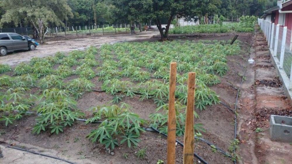 Prédio Inteiro, 40000 m² - Foto 16