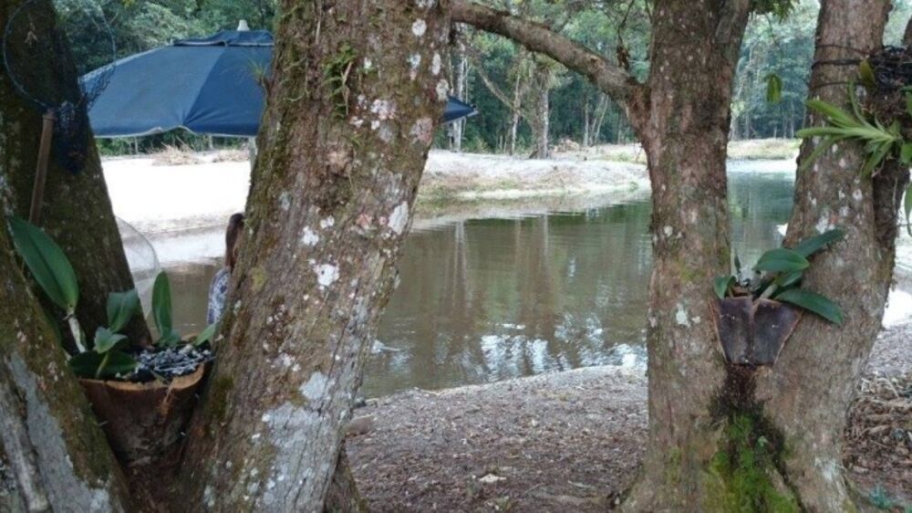 Prédio Inteiro, 40000 m² - Foto 6