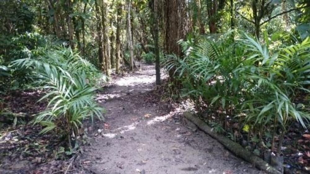 Prédio Inteiro, 40000 m² - Foto 12