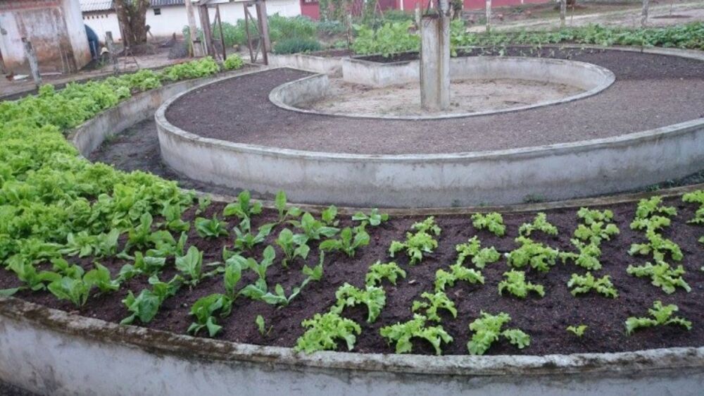 Prédio Inteiro, 40000 m² - Foto 14