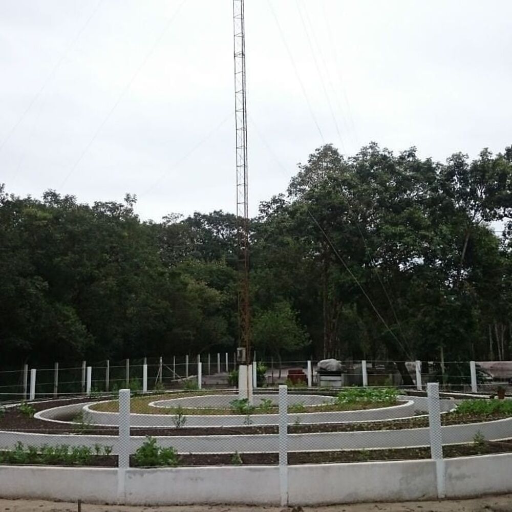 Prédio Inteiro, 40000 m² - Foto 13