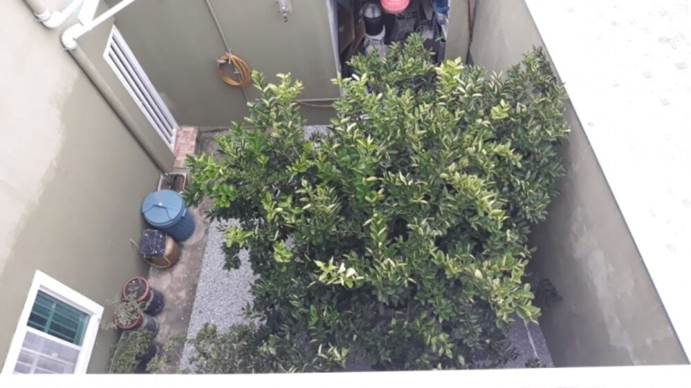 Sobrado, 4 quartos, 420 m² - Foto 35