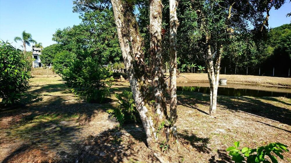 Terreno, 1505 m² - Foto 7