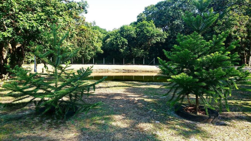 Terreno, 1505 m² - Foto 11