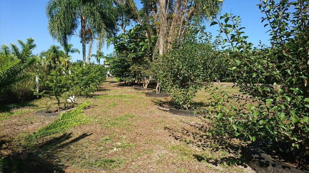Terreno, 1505 m² - Foto 6
