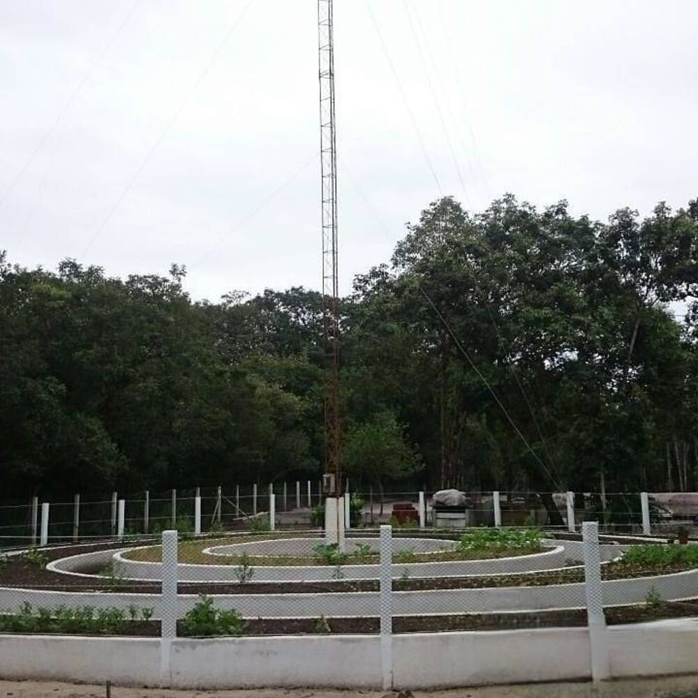 Terreno, 1365 m² - Foto 9