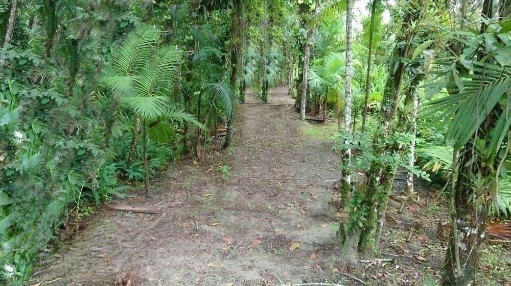Terreno, 1365 m² - Foto 10