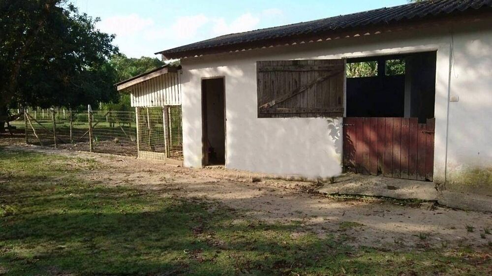 Terreno, 1365 m² - Foto 3