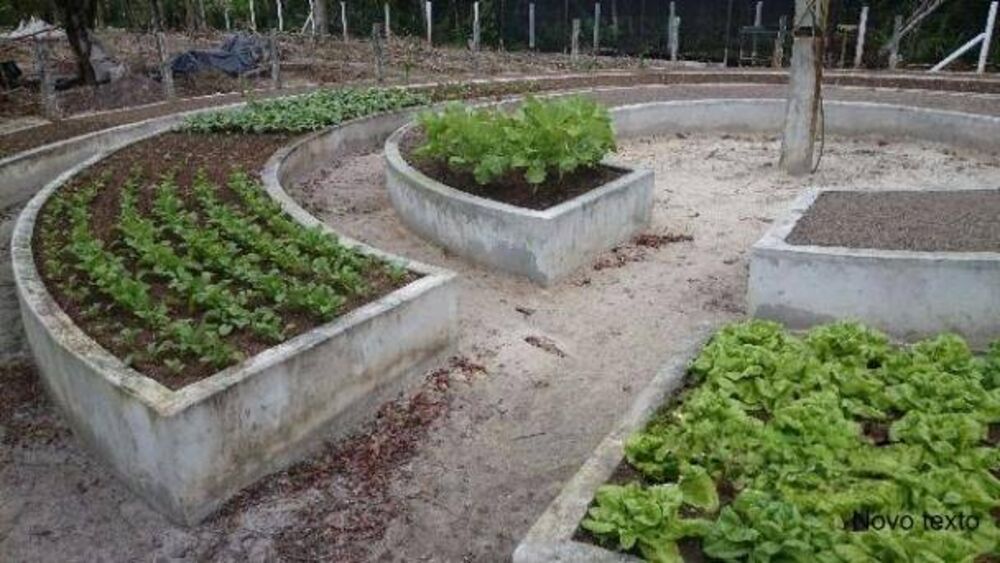 Terreno, 1365 m² - Foto 4
