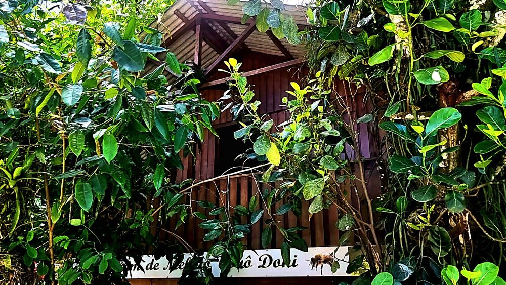 Sítio, 3 quartos, 1429 m² - Foto 3