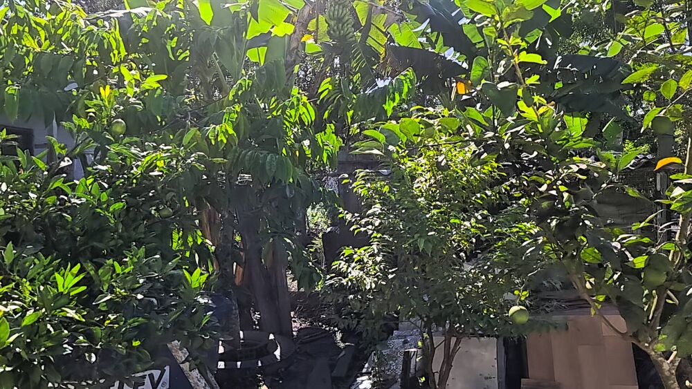Casa, 2 quartos, 1500 m² - Foto 17