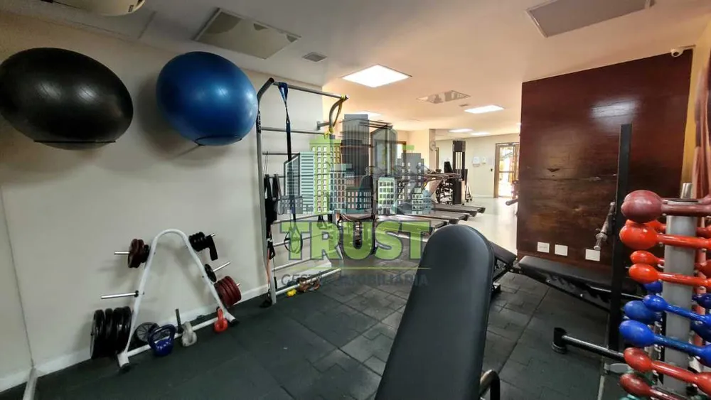 Apartamento, 4 quartos, 250 m² - Foto 42