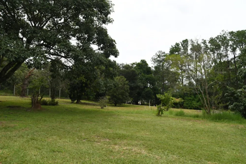 Chácara, 5 quartos, 10000 m² - Foto 5