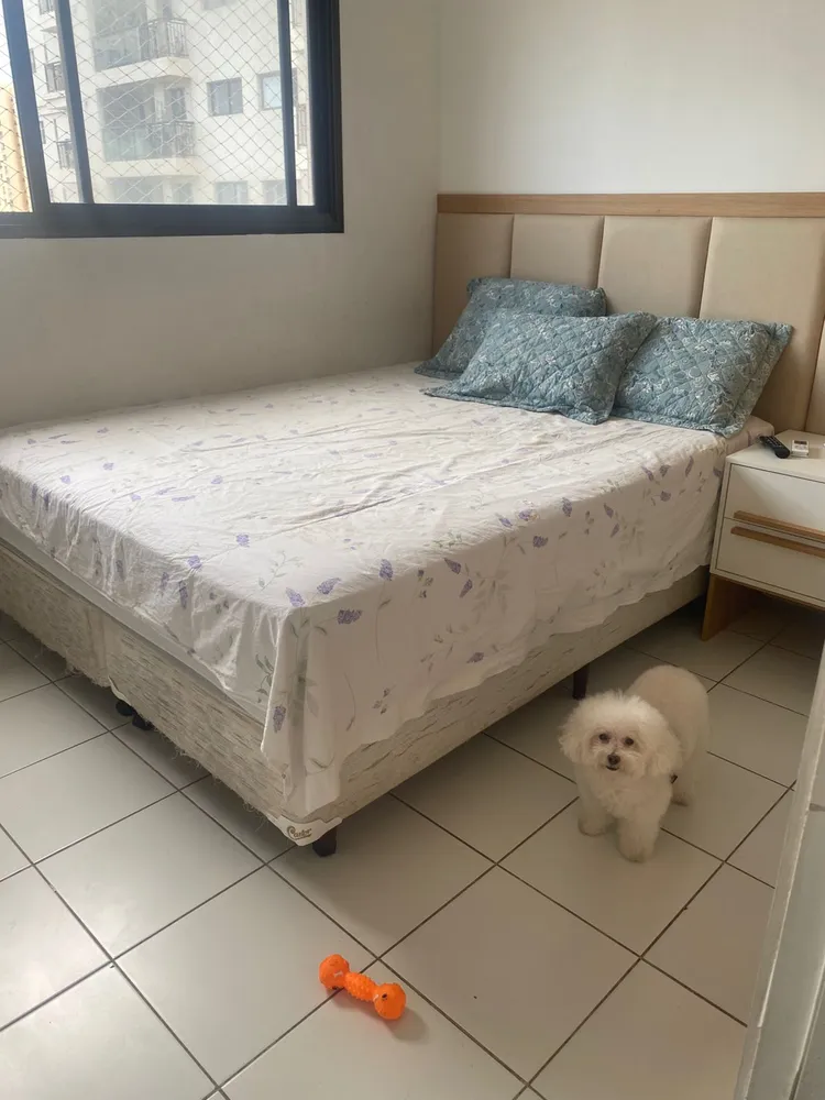 Apartamento, 3 quartos, 86 m² - Foto 14
