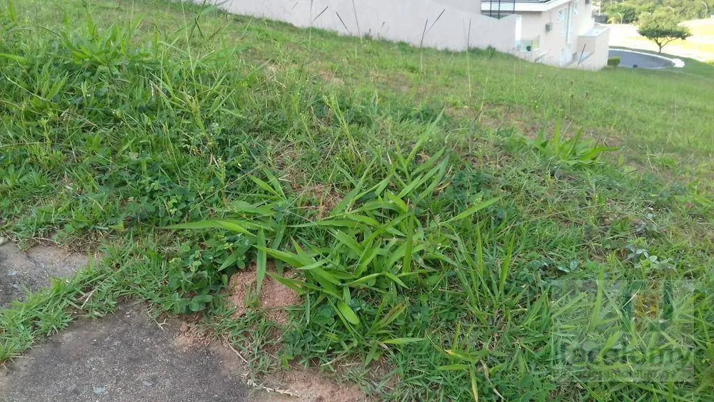 Loteamento e Condomínio, 546 m² - Foto 3