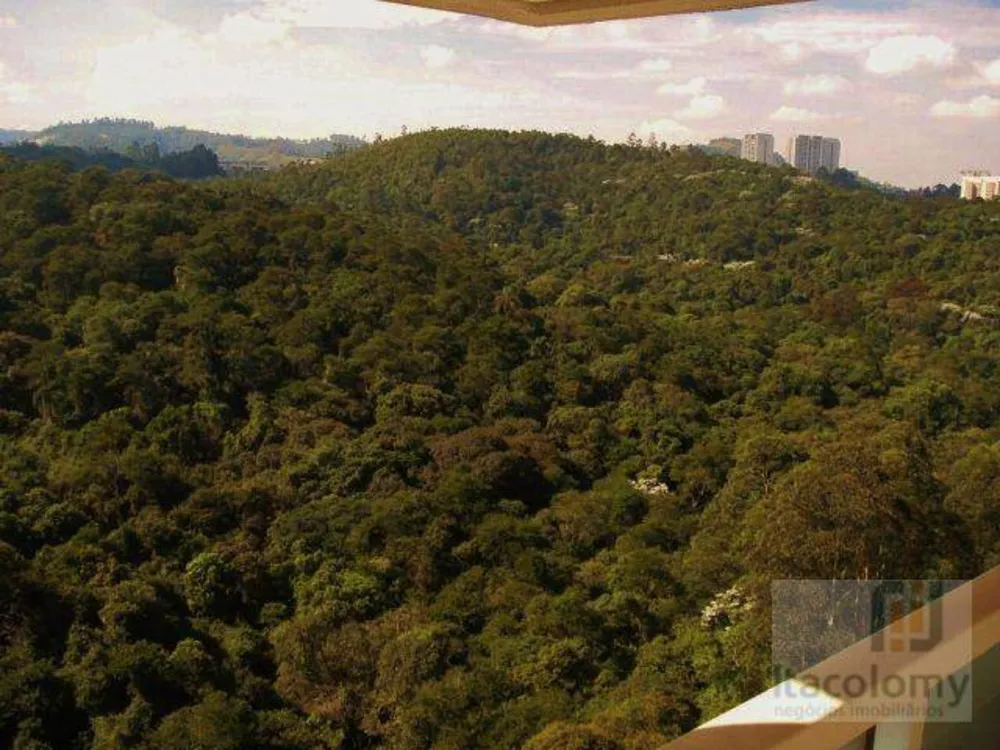 Apartamento, 4 quartos, 367 m² - Foto 10