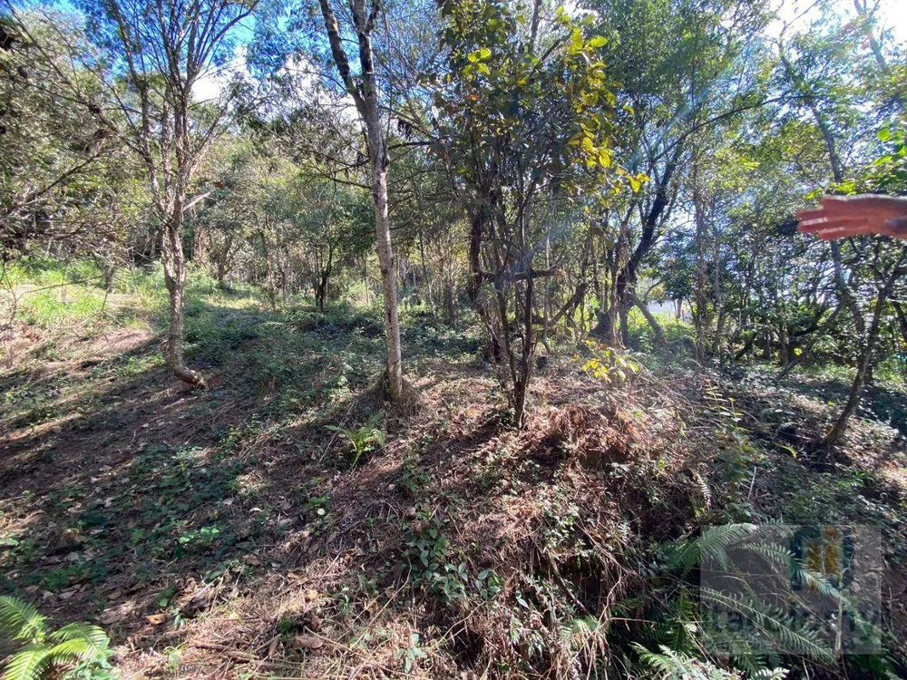 Loteamento e Condomínio, 2767 m² - Foto 7